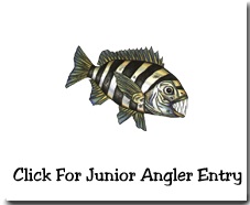 Junior_Entry